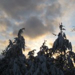 David Deuel - @deuel558 - Instagram