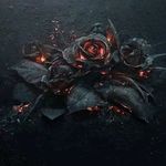 David deuel - @daviddeuel2132 - Instagram