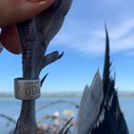 David Deuel - @three_d.outdoors - Instagram