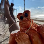 David De Vries - @portal_del_sur_ - Instagram