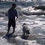 David Dickman - @dmdickman - Instagram
