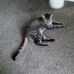 David Dickman - Facebook