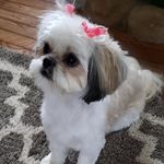 David Diedrich - @david.diedrich.528 - Instagram