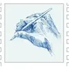 daviddiener805 - @daviddiener805 - TikTok