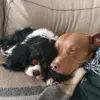 David di gioia - @david.digioia - TikTok