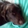 daviddillion06 - @daviddillion06 - TikTok