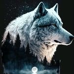 David G Dillman - @davidgdillman - Instagram