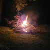 David Doo Dilly Wop - @david.doo.dilly.w - TikTok