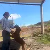 david1703 - @davidmedina2766 - TikTok