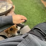@david.dinerooo - Instagram