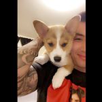David Dinh - @davedinh - Instagram