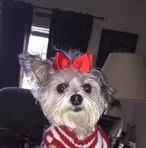 David Dishman - Facebook