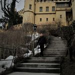 David Distler - @da.vid.1999 - Instagram