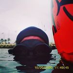 THE DIVEMASTER BLASTER🙅⚒️💃 - @david_the_diver - Instagram