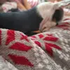 Davidekkk_Dobias. - @davidekkk_dobias - TikTok