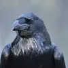RavenGod David Dobias - @ravengod.david.do - TikTok