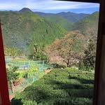 David Dodd - @daviddodd307 - Instagram