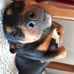 David Doig - Facebook
