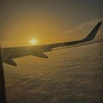 David Doig - @davidsasleep - Instagram