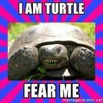 David Turtle Dolgin - @turtle3656 - Instagram