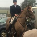 David Dollard - @david.dollard.35 - Instagram