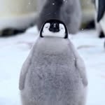David Dominique - @daviddominique001 - Instagram