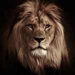 David Donis - @david_donis27 - Instagram