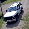 David Donisi - @daviddonisi - TikTok