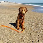 david donohue - @david_donohue - Instagram