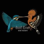 David Dorner - @daviddorner_naturephotography - Instagram