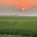 David Dorris - Facebook