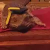 David Doss - @david.doss75 - TikTok