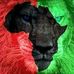 David Dowdell - Facebook