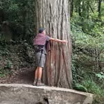 David Down - @ddowncarpentry - Instagram
