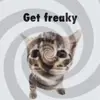 lol - @downbad.david - TikTok