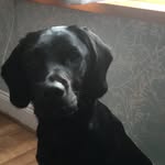 David Dowson - @dowson413 - Instagram