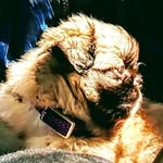 David Dragan - @david.dragan.186 - Instagram