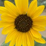 David Dryburgh - @daviddryburgh1 - Instagram
