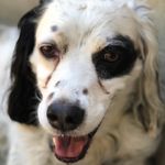 David Duffey - @david.a.duffey - Instagram