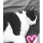Thomas david - @le_petit_chat_du_10 - Instagram