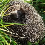 David Durcansky - @durcanskydavid - Instagram