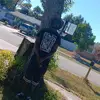 ? - @daviddurrett3 - TikTok