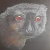David Dušek - @daviddusek74 - TikTok