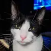 David Suszynski - @david.suszynski - TikTok