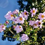 David Duthie - @david.duthie.9 - Instagram