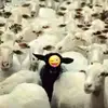 David DY - @david.dy27 - TikTok