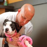 David Dycus, DVM, MS, DACVS - @ortho_vet - Instagram