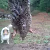 David Dyer - @david.dyer2 - TikTok