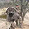 David Dyess949 - @daviddyess3 - TikTok