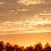 David Dyess - Facebook